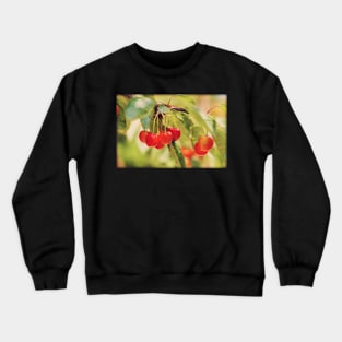 Cherry Branch Crewneck Sweatshirt